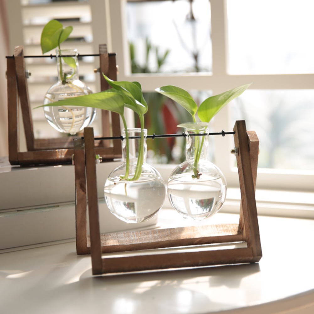 Kreativer Schaukel-Holzhalter  – Propagation Station Vase Bewertung und Preis
