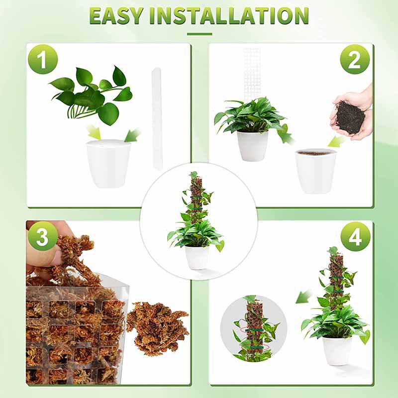 24/36/48 Zoll Kletterpflanze W – Sphagnum Moss Dry Bewertung und Preis