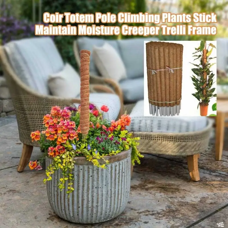 30/40/50 cm Pflanze Klettern K – Sphagnum Moss Dry Bewertung und Preis
