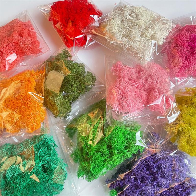 20–200 g künstliche Grünpflanz – Sphagnum Moss Dry Bewertung und Preis