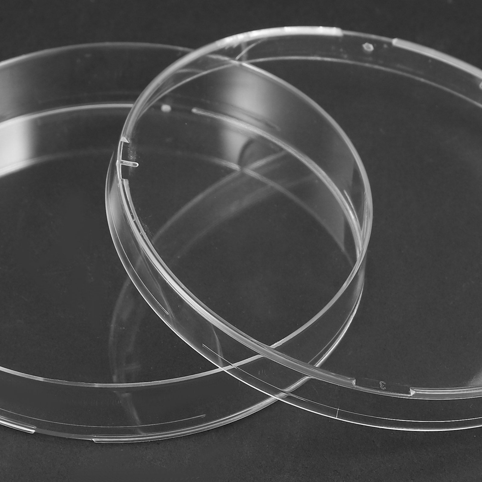 20 Stück zuverlässige sterile  – Agar Tissue Culture Bewertung und Preis