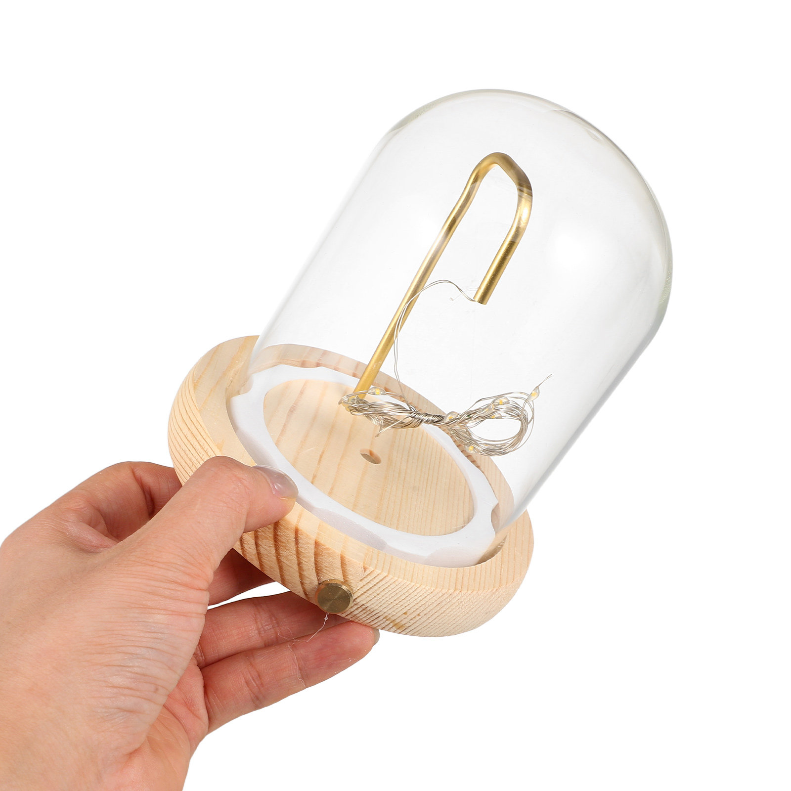Glasvitrine mit Holzsockel und – Plastic Dome Clear Bewertung und Preis