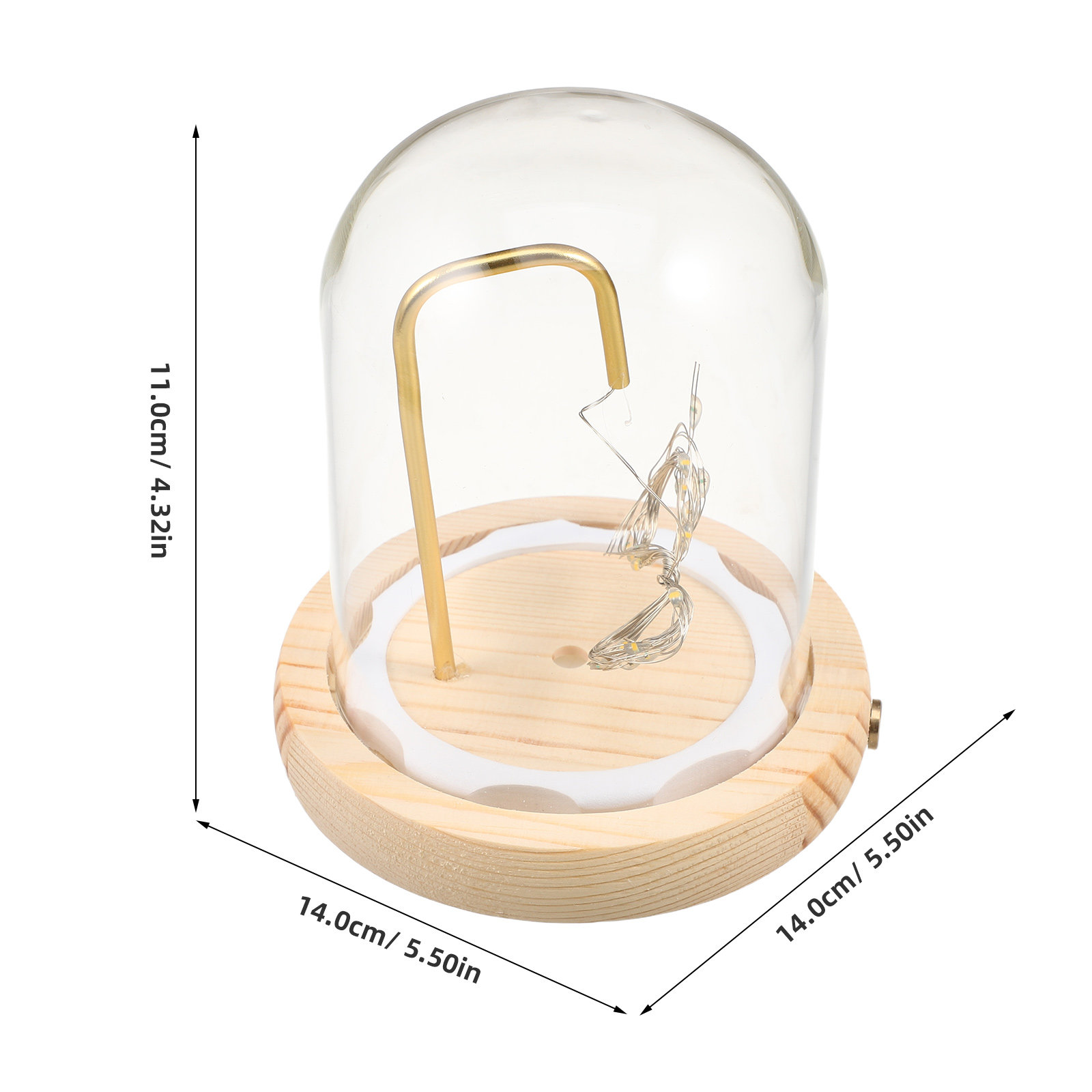 Glasvitrine mit Holzsockel und – Plastic Dome Clear Bewertung und Preis
